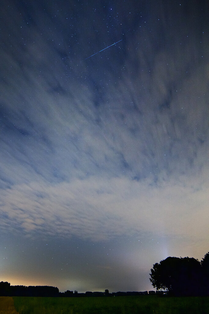 Perseid-meteor.jpg